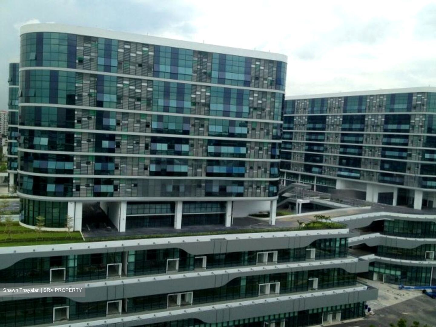 Oxley Bizhub (D14), Factory #452267471